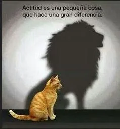 ACTITUD